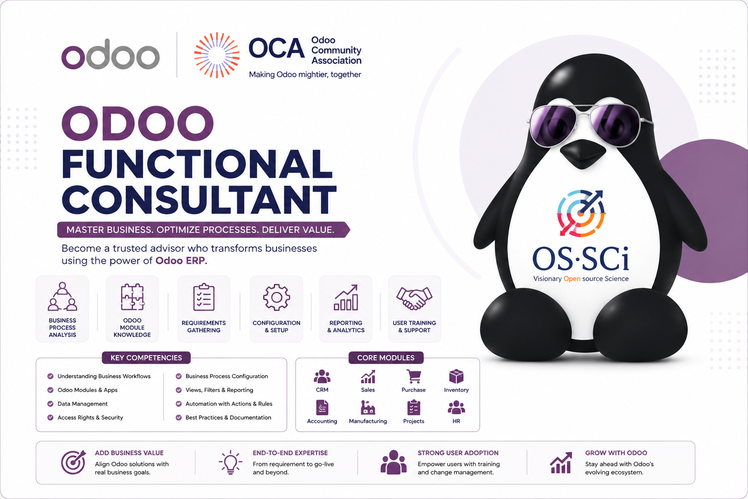Odoo Functional Consultant odooc